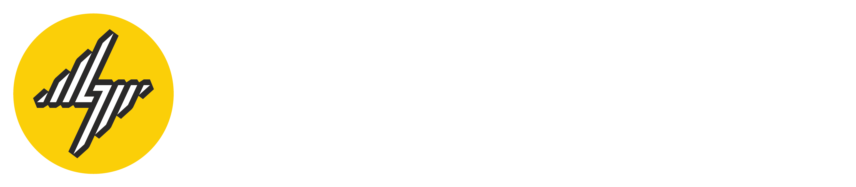 BYOP Electric